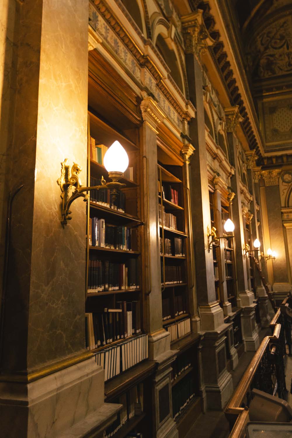 Night at the library 