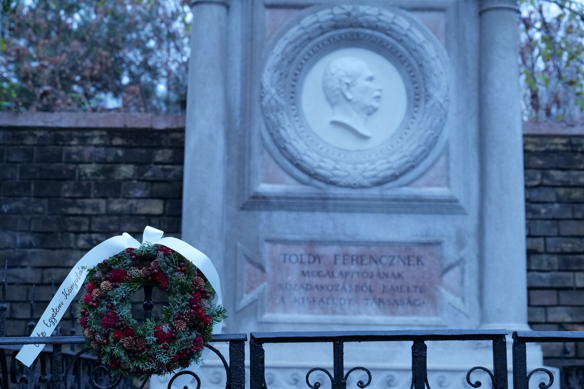 Commemoration of Ferenc Toldy
